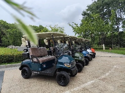 Anpassad hög - End golfvagnar från Türkiye passerade acceptansen i satser