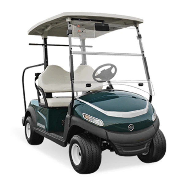 01-2 seater electric golf car low price