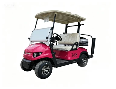 Twin Seater golfbil