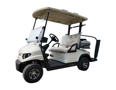 Två smala golfvagnar